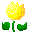 tulip1 yellow