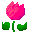 tulip1 pink